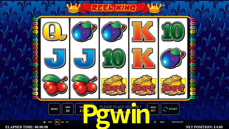 Pgwin,Pgwin.Com